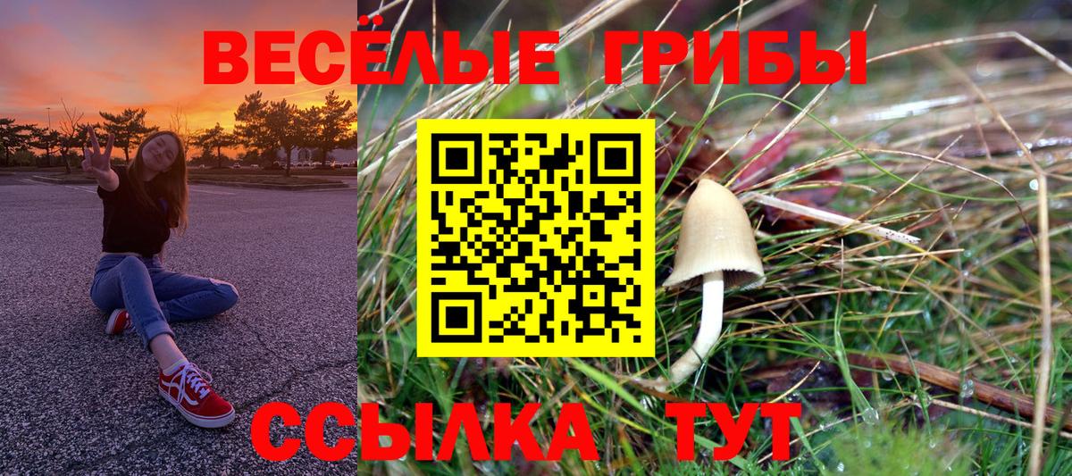 Галлюциногенные грибы MAGIC MUSHROOMS  закладка  Вход с VPN  Шелехов  Галлюциногенные грибы мухоморы 