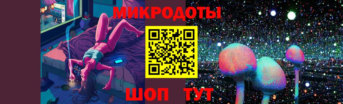 Псилоцибиновые грибы Psilocybe Шелехов